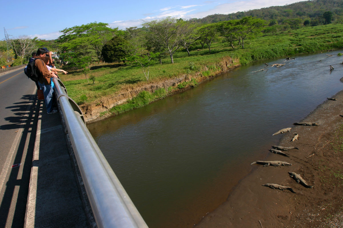 The Crocodile Bridge in Costa Rica